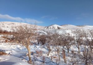 کاهش ناگهانی دما و بازگشت برف در راه آذربایجان شرقی