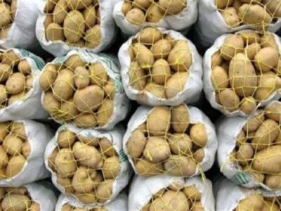 کاهشی شدن قیمت سیب زمینی در بازار آذربایجان شرقی