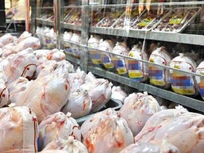 آغاز خرید بیش از یک هزار تن مرغ تولید داخل در آذربایجان شرقی